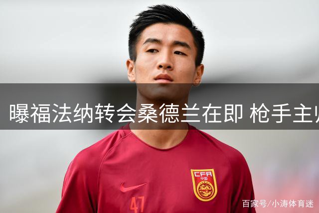 曝福法纳转会桑德兰在即 枪手主帅曾婉拒引进机会